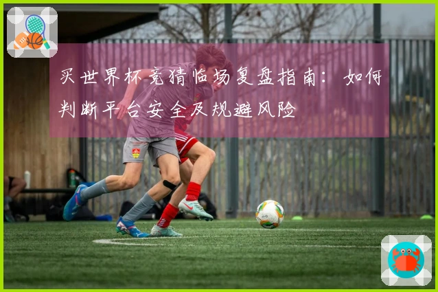 买世界杯竞猜临场复盘指南：如何判断平台安全及规避风险